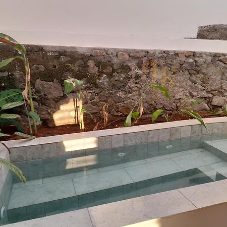 La Kaz Banian Hotel Saint Pierre Bagian luar foto